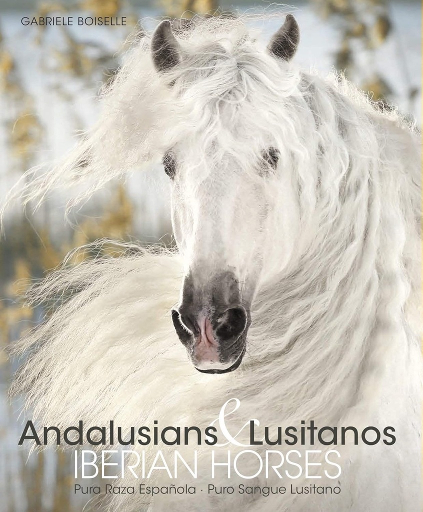 ANDALUSIANS Y LUSITANOS: IBERIAN HORSES (T.D)