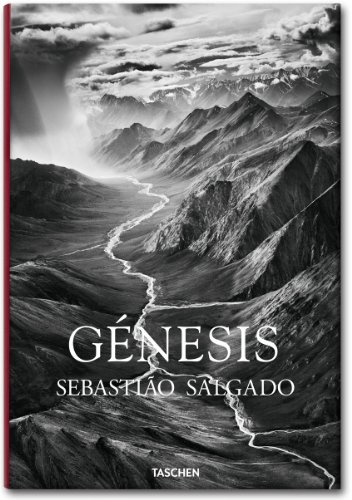GENESIS (T.D) -FO- (E)