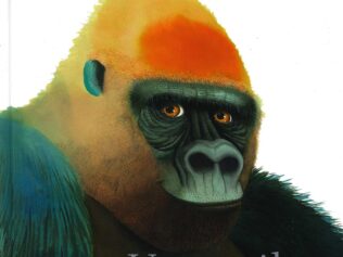 Gorila, Un. Un libro no sólo para contar