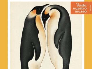 Animalium. Libro póster