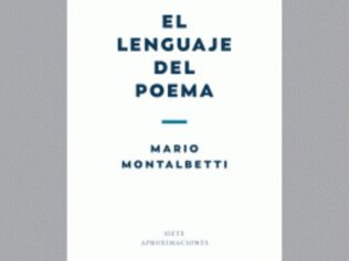 EL LENGUAJE DEL POEMA