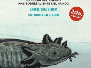 El Ajolote. Biología del anfibio más sobresaliente del mundo