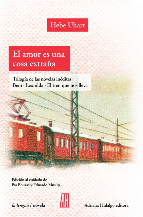 AMOR ES UNA COSA EXTRAÍA, EL