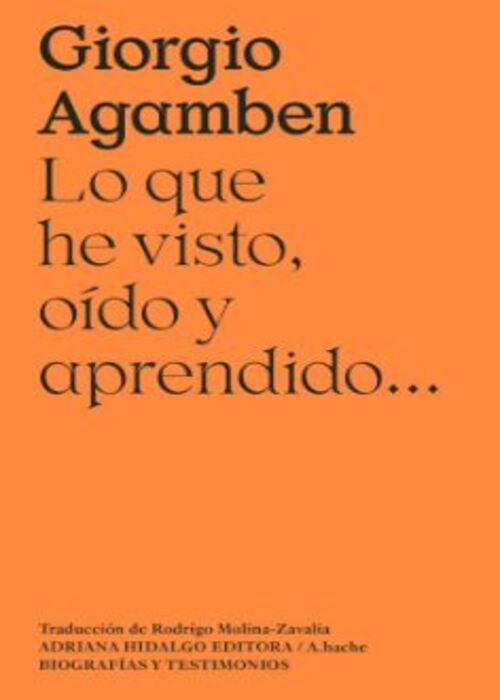 Lo que he visto, oido y aprendido...