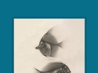 AGUA Y JABON