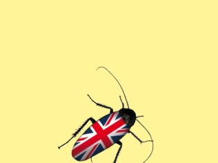 CUCARACHA, LA
