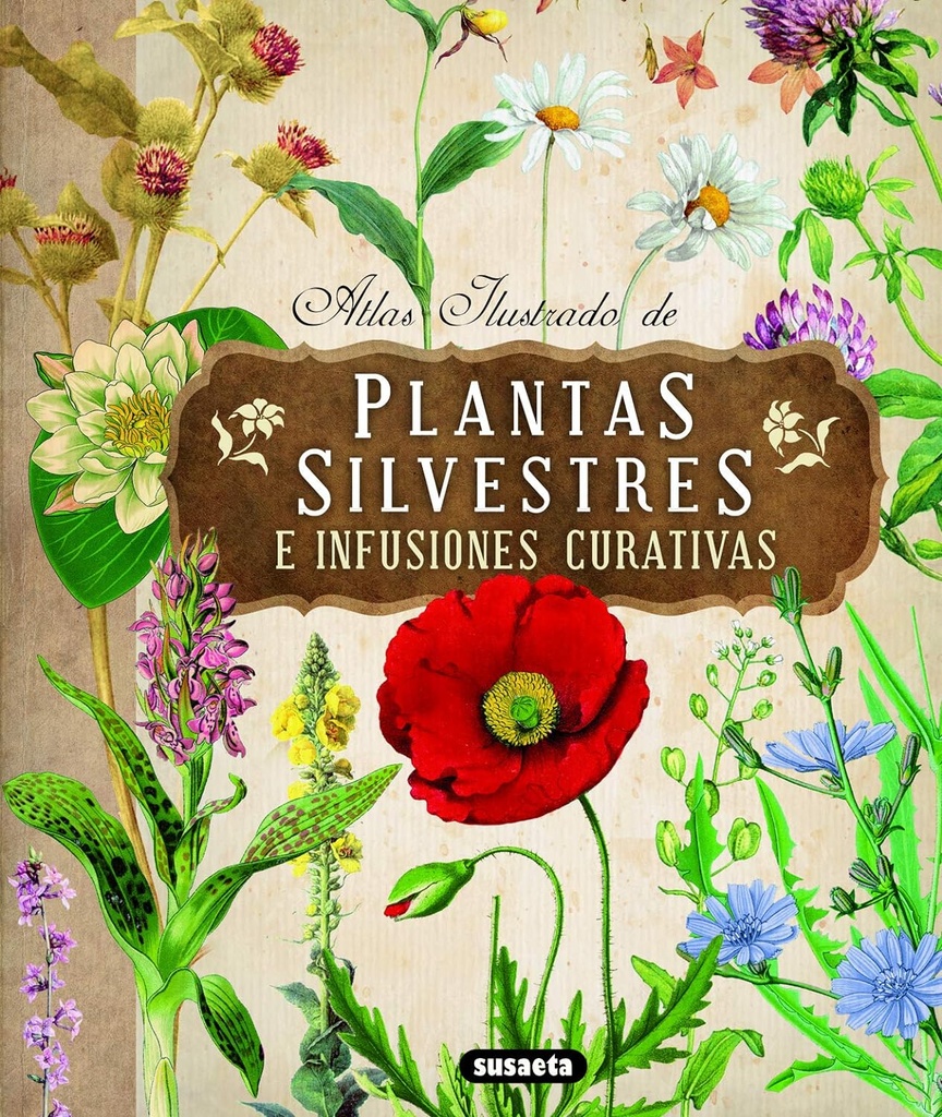 ATLAS ILUSTRADO PLANTAS SILVESTRES - INFUSIONES