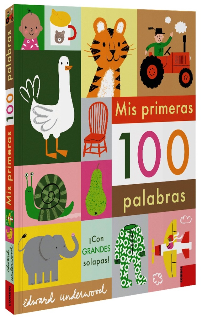 MIS PRIMERAS 100 PALABRAS Com