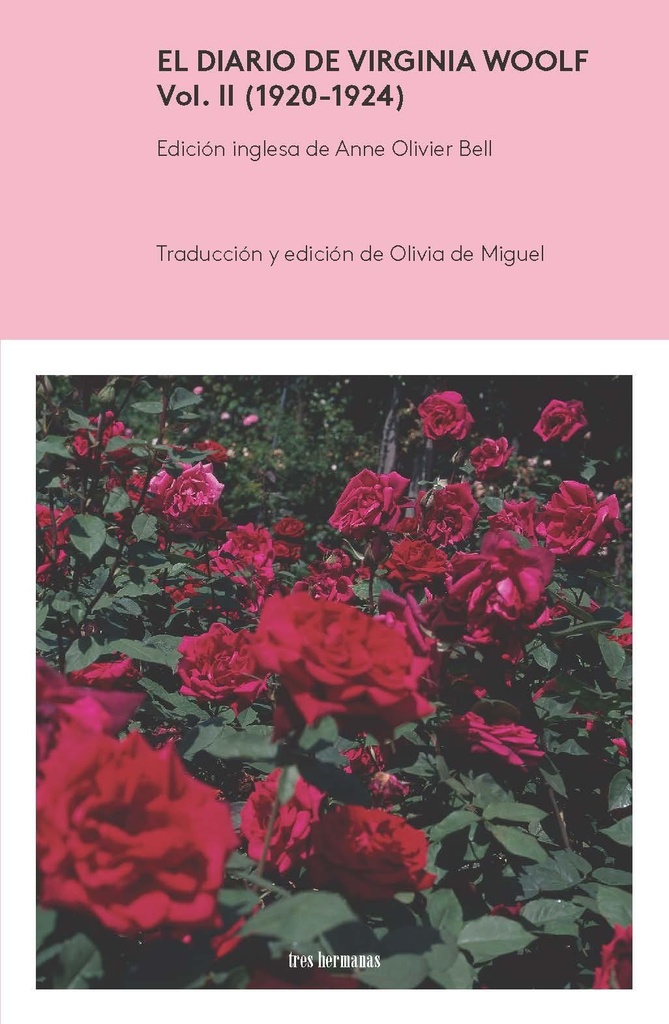 DIARIO DE VIRGINIA WOOLF II 1920 - 1924 rust 3Hermanas