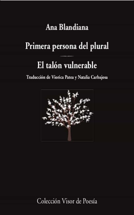 PRIMERA PERSONA DEL PLURAL E