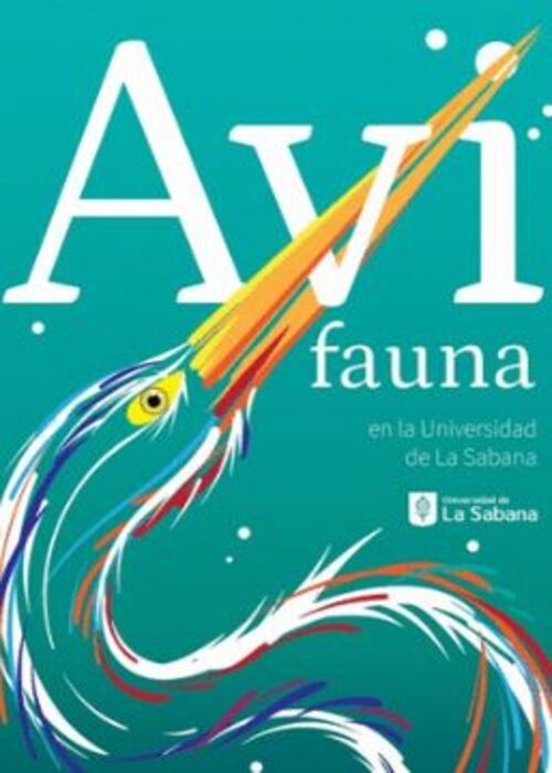 AVIFAUNA