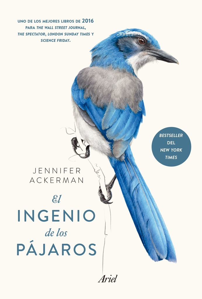 El ingenio de los pajaros