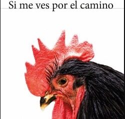 Si me ves por el camino