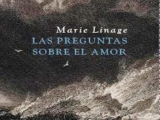 Las Preguntas Sobre El Amor