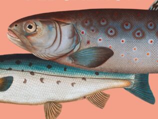 Parabola del salmon