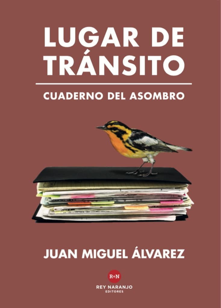 Lugar de transito