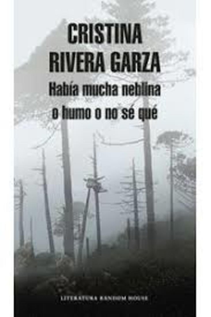 HABIA MUCHA NIEBLA O HUMO O NO SE QUE