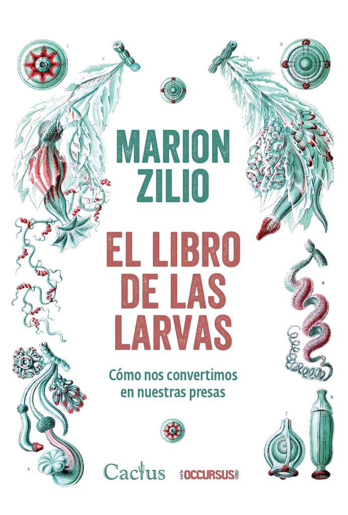 LIBRO DE LAS LARVAS