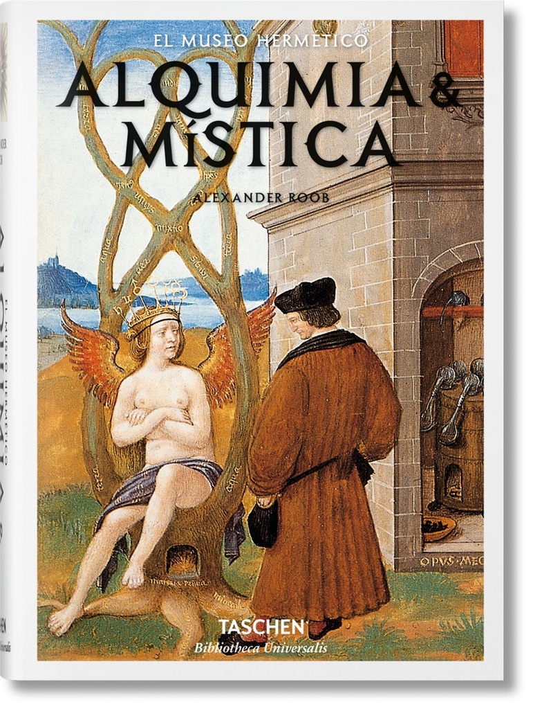 ALQUIMIA Y MISTICA (T.D) -BU-