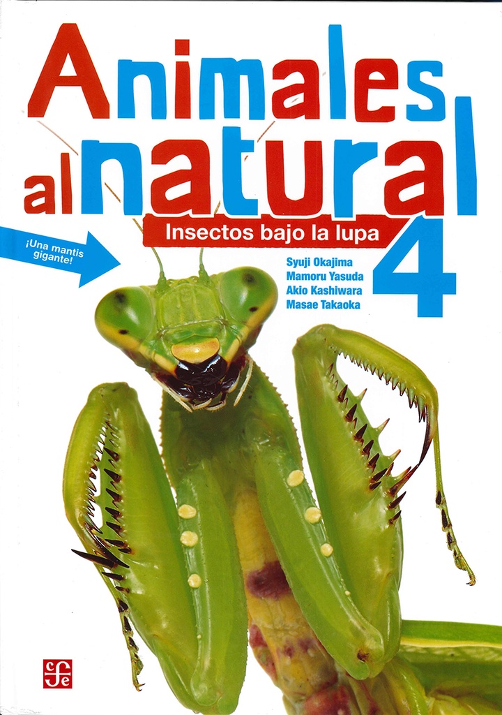 Animales al natural 4. Insectos bajo la lupa