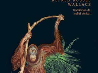 Archipiélago malayo. Tierra del orangután y del ave del paraíso