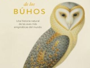 La sabiduría de los búhos
