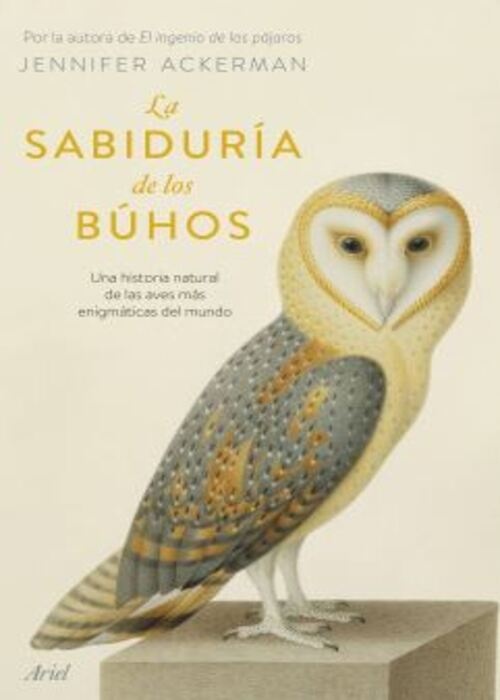 La sabiduría de los búhos