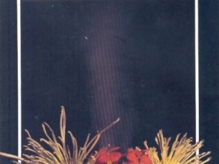 EL PERFUME O EL MIASMA