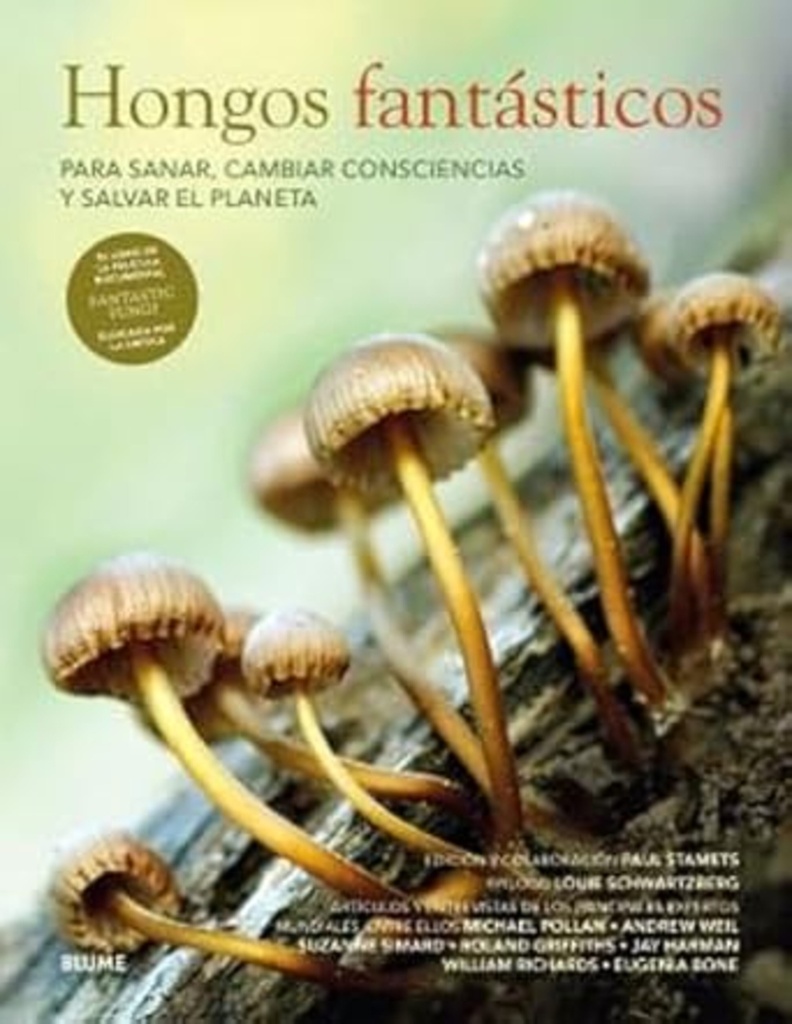 Hongos fantasticos