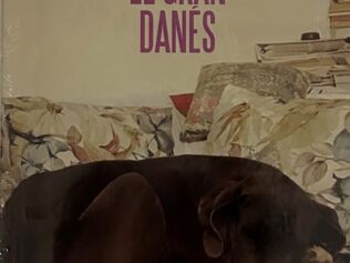 El gran danes
