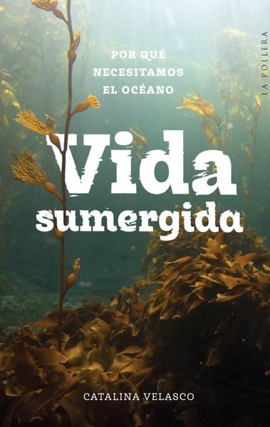 Vida sumergida: por qué necesitamos el oceano