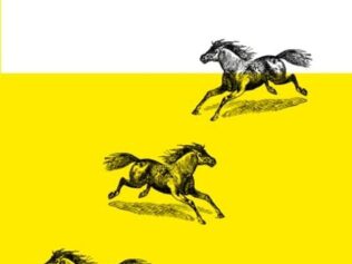 CABALLO DE VERANO