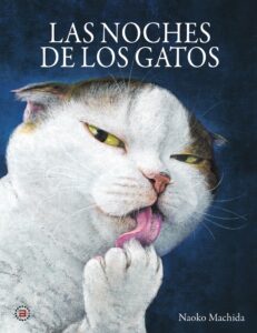 Noches de los gatos