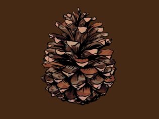 OTOÑO