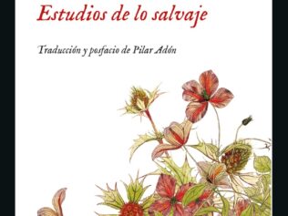 ESTUDIOS DE LO SALVAJE