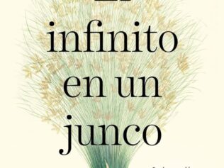 INFINITO EN UN JUNCO, EL