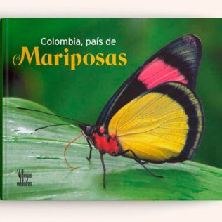COLOMBIA, PAIS DE MARIPOSAS