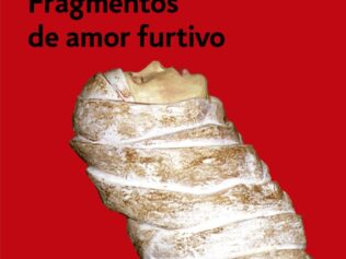 FRAGMENTOS DE AMOR FURTIVO