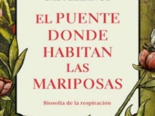 EL PUENTE DONDE HABITAN LAS MARIPOSAS