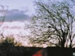 TEMPORADA DE HURACANES