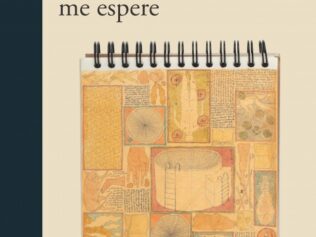 DONDE NADIE ME ESPERE