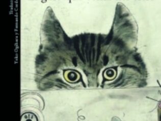 EL GATO QUE VENIA DEL CIELO