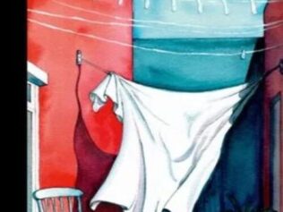 TODAVIA VUELAN LAS SABANAS