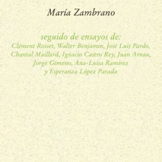 IDIOTA SEGUIDO DE ENSAYOS DE CLEMENT ROSSET WALTER BENJAMIN JOSE LUIS PARDO, EL