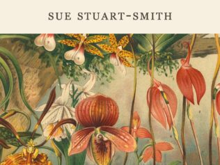 MENTE BIEN AJARDINADA, LA