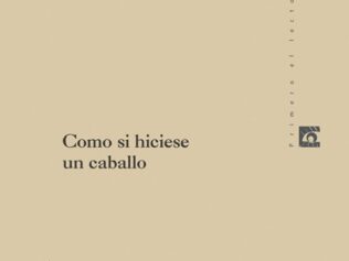 COMO SI HICIESE UN CABALLO