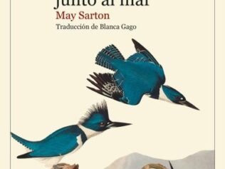 LA CASA JUNTO AL MAR