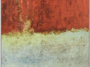 DESCORTESÍA DEL SUICIDA