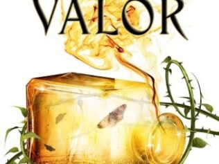VALOR rust  Hidra