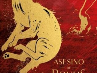 ASESINO DE BRUJAS -LOS HIJOS DEL REY